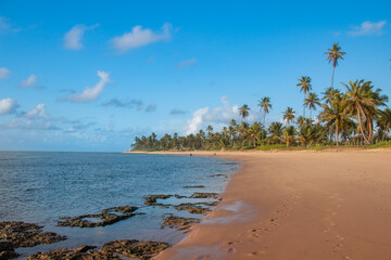 Brazilian beach, at low tide, with exposed reefs and coconut trees in the background.