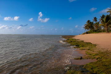 Brazilian beach, at low tide, with exposed reefs