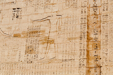 Fototapeta premium Hieroglypic painted carvings on wall at the ancient egyptian temple in Luxor. Egypt.