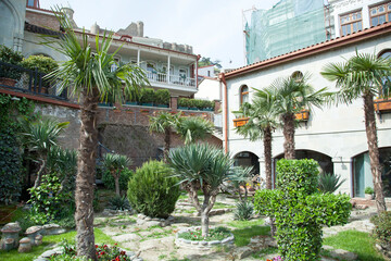 Fototapeta na wymiar Tropical Garden In Tbilisi Old Town
