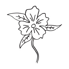 Flower hand drawn vector design template