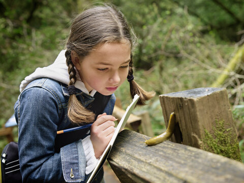 Girl Examining a Banana Slug