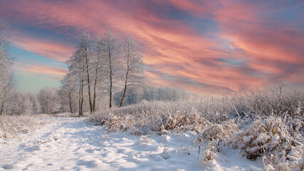 Zimowe krajobrazy. ośnieżone drzewa ,zaśnieżony las i skute lodem rzeczki. - obrazy, fototapety, plakaty