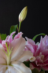 Fototapeta premium White flowers isolated on white background.