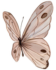 Beige butterflies on isolated white background, acrylic painting, modern art