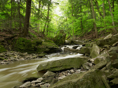 Beamer Falls Conservation Area, Grimsby, Ontario, Canada