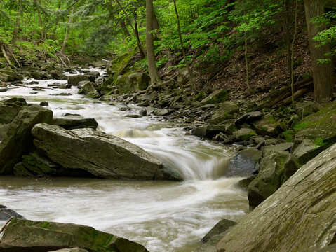 Beamer Falls Conservation Area, Grimsby, Ontario, Canada