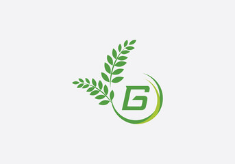 Laurel wreath green leaf logo and Vintage wheat logo design monogram with the letters and alphabets