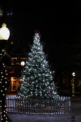 christmas tree in the night