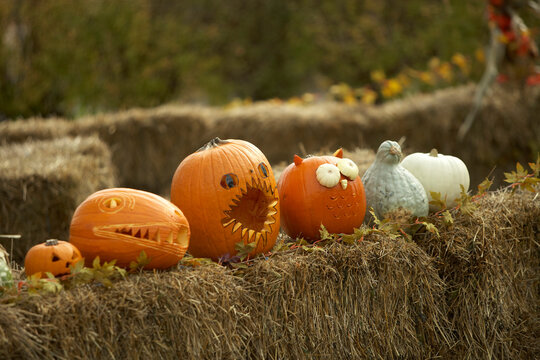 Jack-o-lanterns on Hay Bales, Toronto, Ontario, Canada