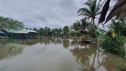 peaceful lake view in tropical countries