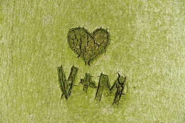 Carving in Tree Trunk, Hesse, Germany