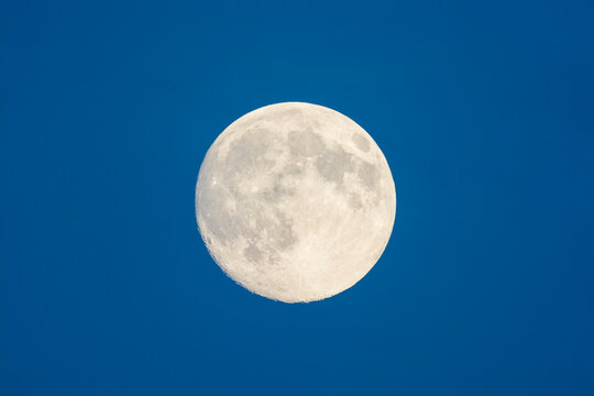 Full moon in sky at dusk, Odenwald, Hesse, Germany