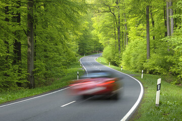 Road Through Forest, Spessart, Bavaria, Germany, Europe