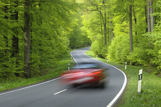 Road Through Forest, Spessart, Bavaria, Germany, Europe