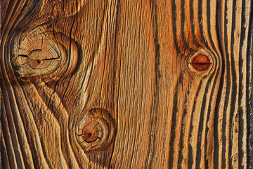 Close-up of wooden board, Bavaria, Germany