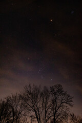 Fototapeta na wymiar Starry sky over trees