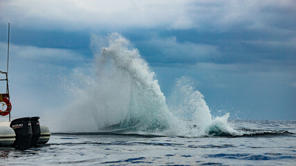 Obraz premium Humpback whale around Cabo San Lucas, Mexico