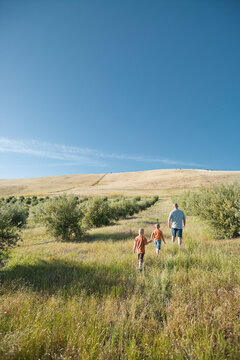 Family Walking, Livermore, Alameda County, California, USA