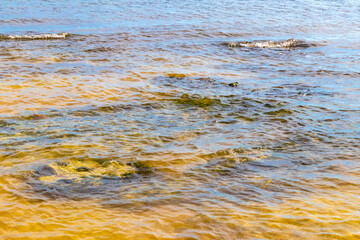 Turquoise green blue water with stones rocks corals beach Mexico.