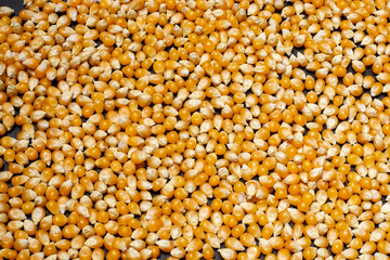 corn kernels on black wooden table
