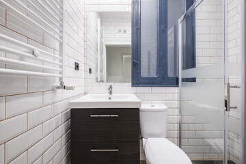 Small bathroom with a white porcelain sink on a dark wood cabinet, a walk-in shower with a screen, a frameless mirror, and a walk-in shower with a window
