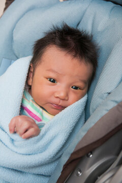 Close-up portrait of swaddled two week old, newborn Asian baby girl, lying in car seat