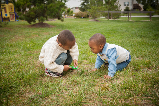 Brothers Observing Grass under Magnifying Glass in Park, Maryland, USA
