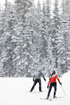 Backview of Couple Cross Country Skiing, Whistler, British Columbia, Canada