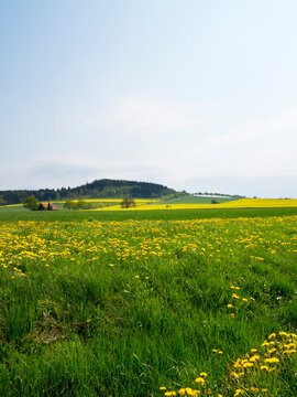 Scenic view of fields, Weser Hills, North Rhine-Westphalia, Germany