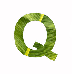 Alphabet letter Q - Banana leaf background, natural background