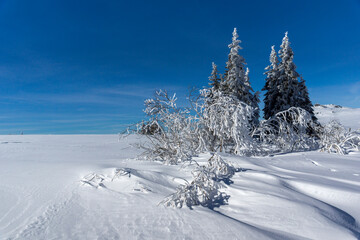 Winter landscape of Vitosha Mountain, Bulgaria