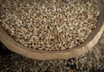 Wooden bowl with  wheat grains closeup