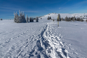 Winter landscape of Vitosha Mountain, Bulgaria