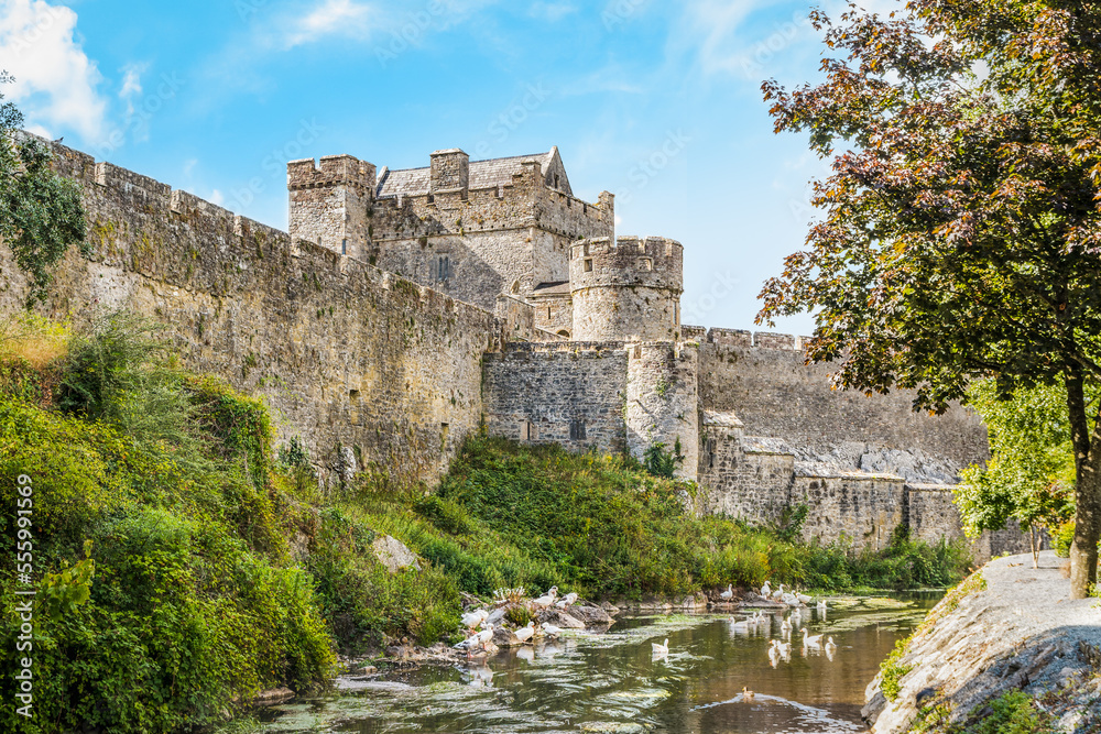 Wall mural Tall ramparts, towers and moat of the medieval historic Cahir castle, Ireland