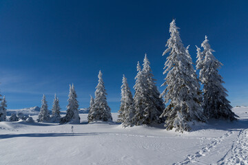 Winter landscape of Vitosha Mountain, Bulgaria