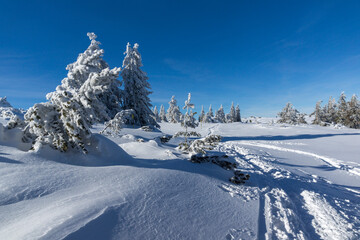 Winter landscape of Vitosha Mountain, Bulgaria