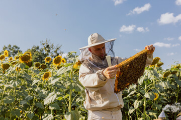 Serious handsome framer in bee suit on field full of sunflower background holding frame full of...