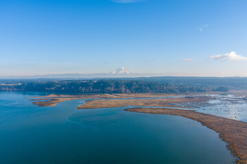 view of mount rainier 