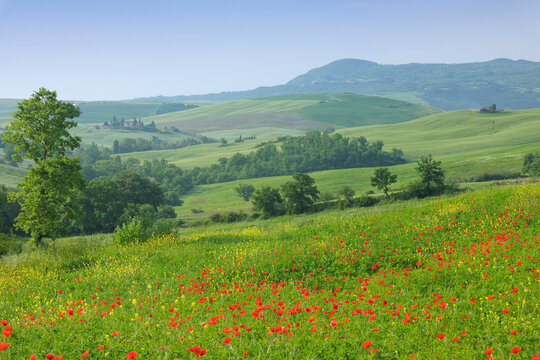 Castiglione d'Orcia, Siena Province, Val d'Orcia, Tuscany, Italy