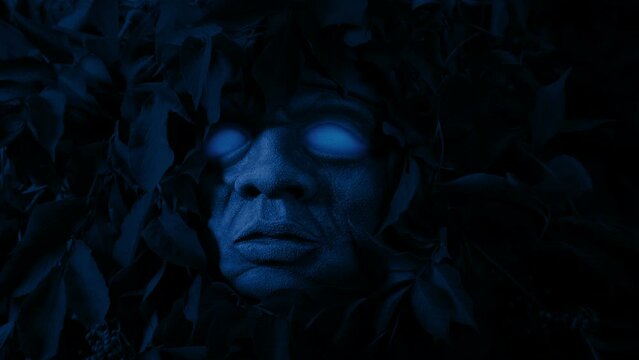 Blue Eyes Glow On Ancient Statue In The Jungle