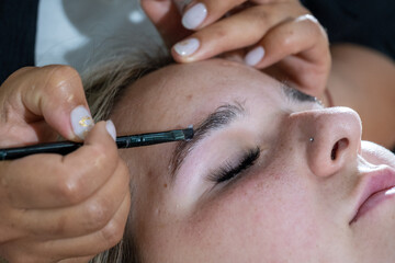 Hands of makeup artist apply means for laminating to eyebrows of young female client. Professional...