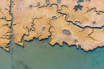 Billy Frank Jr. Nisqually National Wildlife Refuge 