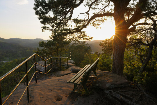 Viewpoint with Bench, Hochstein, Dahn, Pfalzerwald, Rhineland-Palatinate, Germany