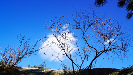 Blue sky and white clouds that meet in the cold.