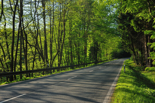 Road in Forest, Arnsberg, Hochsauerland, North Rhine-Westphalia, Germany