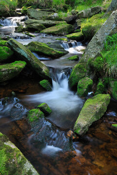 Stream, Oderteich, Sankt Andreasberg, Goslar, Harz, Lower Saxony, Germany