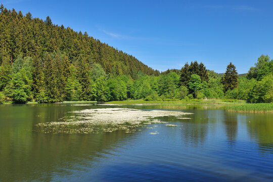 Lake, Soesetalsperre, Osterode, Lower Saxony, Germany