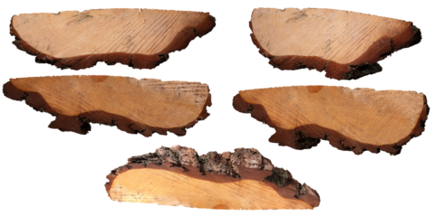 Pieces of raw wood in the shape of a wedge on an isolated background.