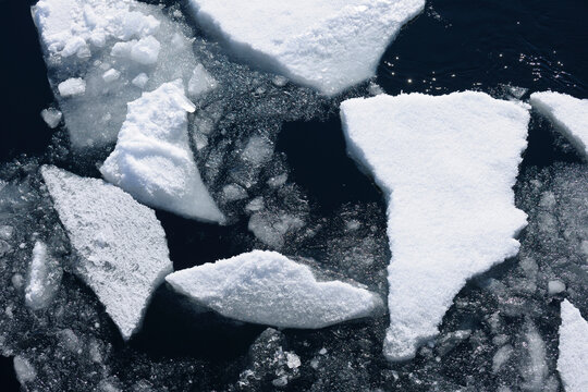 Pack Ice, Greenland Sea, Arctic Ocean, Arctic